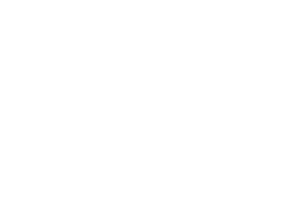 Henna Stencils (Single) – Henna Trinidad